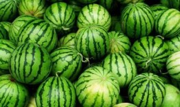 街溜子吃瓜,揭秘娱乐圈幕后风云