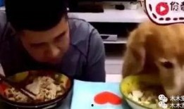 赛文主人吃瓜视频,揭秘娱乐圈幕后故事