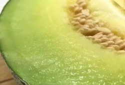 佛山kk吃瓜,揭秘网络热点背后的真相