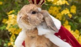 吃瓜兔骑行服,时尚与舒适的骑行伴侣