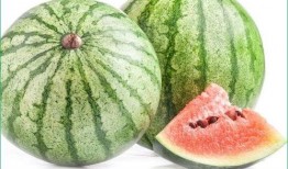 胃炎可以吃树瓜吗,营养与健康的双重选择