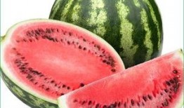 不可吃瓜,揭秘不可吃瓜背后的真相与启示