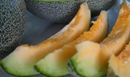 带你吃瓜吃美食,品味美食盛宴