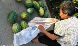 林州最近吃瓜趣事,最新吃瓜趣事大盘点