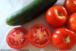 小瓜的吃瓜日常在线观看,揭秘娱乐圈幕后风云