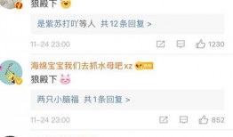 吃瓜忘记时间,一觉睡到吃瓜忘时