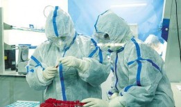 做完核酸回家吃瓜,悠闲回家吃瓜，享受夏日时光