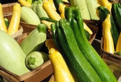 吃瓜专家番禺,吃瓜专家带你领略美食天堂的风采