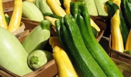 吃瓜专家番禺,吃瓜专家带你领略美食天堂的风采