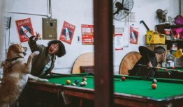 台球室吃瓜,一场球桌上的欢乐盛宴