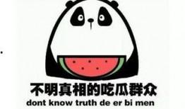 吃瓜群在线观看,揭秘娱乐圈幕后故事