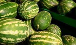 信阳农林吃瓜事件