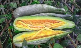 网红吃瓜猛料,吃瓜猛料大曝光！