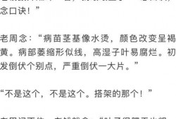 吃瓜群众周记,揭秘娱乐圈幕后故事