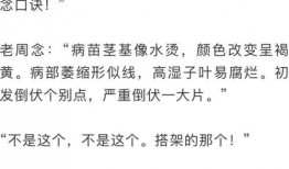 吃瓜群众周记,揭秘娱乐圈幕后故事