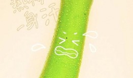 武汉吃瓜的方法,解锁夏日消暑新姿势