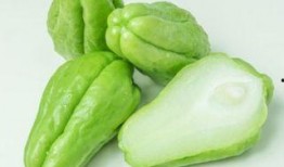 什么癌症可以吃瓜,揭秘哪些癌症患者适宜食用瓜果