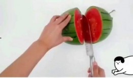 夏天快到了吃瓜舒服,清凉一夏，尽享瓜果盛宴