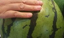 大瓜顿什么吃发热,探寻美食与健康的微妙平衡