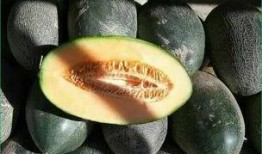 孕妇感冒可以吃哈密瓜吗,孕妇感冒期间适宜食用哈密瓜吗？