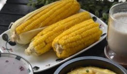 哈密瓜早上吃,开启一天清新活力的健康早餐之旅