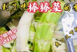 泗水老师吃瓜,一场校园风波背后的真相