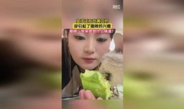 女子视频吃瓜,揭秘网络热传事件背后的真相
