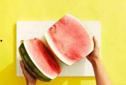 夏天快到了吃瓜舒服,清凉一夏，尽享瓜果盛宴
