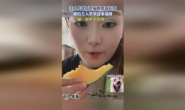 赛文主人吃瓜视频,揭秘娱乐圈幕后故事