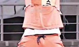 完整吃瓜自取,一场全民参与的趣味盛宴