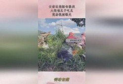 缅甸云南大妈吃瓜