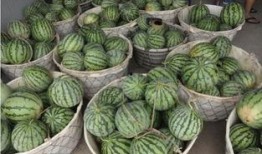 碧桂园 吃瓜,吃瓜群众揭秘房企巨头背后的故事