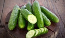 小瓜的吃瓜日常在线观看,揭秘娱乐圈幕后风云