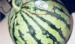 德阳网红吃瓜,揭秘网络红人的幕后故事