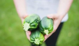 直接吃瓜的视频,揭秘“吃瓜群众”的狂欢时刻