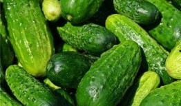 梦见好多瓜 吃瓜,瓜果飘香，揭秘“吃瓜群众”的奇幻之旅