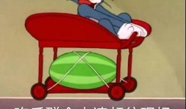 吃瓜忘记时间,一觉睡到吃瓜忘时