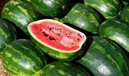 大瓜吃瓜素材视频下载安装,轻松获取热门素材，打造个性化短视频