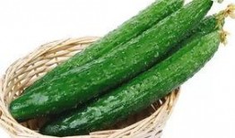 瓜哥和梦竹吃瓜,揭秘娱乐圈最新热点