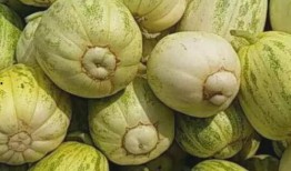 吃瓜有哪些禁忌,揭秘那些不可不知的吃瓜规矩