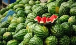 雅晴儿吃瓜,揭秘娱乐圈幕后故事