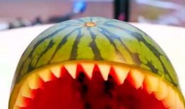 啊钟吃瓜,揭秘娱乐圈那些不为人知的幕后故事