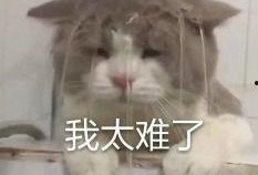 内娱吃瓜巨星,揭秘娱乐圈背后的风云变幻