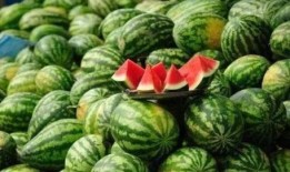 读心上朝吃瓜,瓜田李下笑谈风云