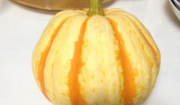 大瓜顿什么吃发热,探寻美食与健康的微妙平衡