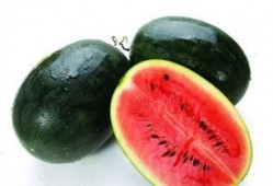 横条纹吃瓜视频,揭秘网红美食背后的故事