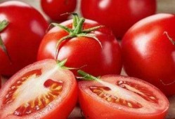 吃瓜系统小说番茄小说