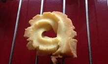 小鸟吃瓜吗,揭秘鸟类饮食习惯