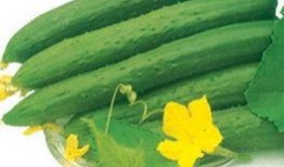 发热可以吃蜜瓜,轻松应对发热不适