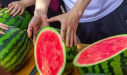 上海学院吃瓜,吃瓜群众的热议焦点